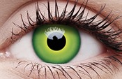 Hulk Green Hulk Green
